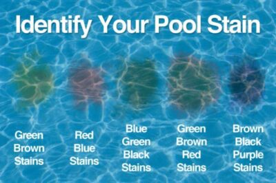 Identity your pool stains