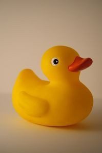 Rubber Duck Race