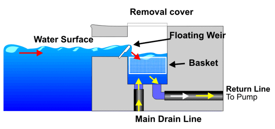 circulation system b