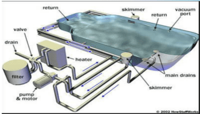 poolanatomy