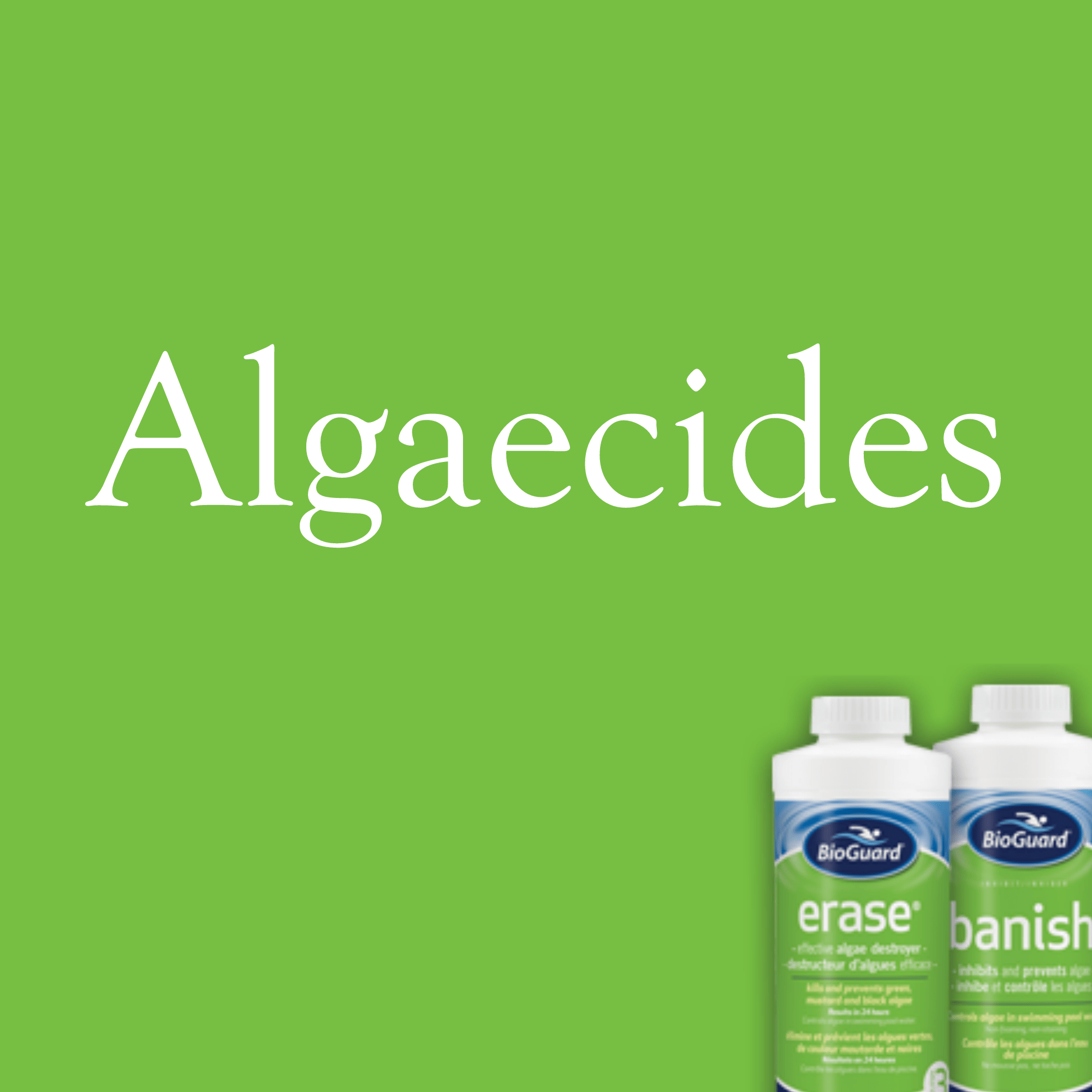 Algae Products
