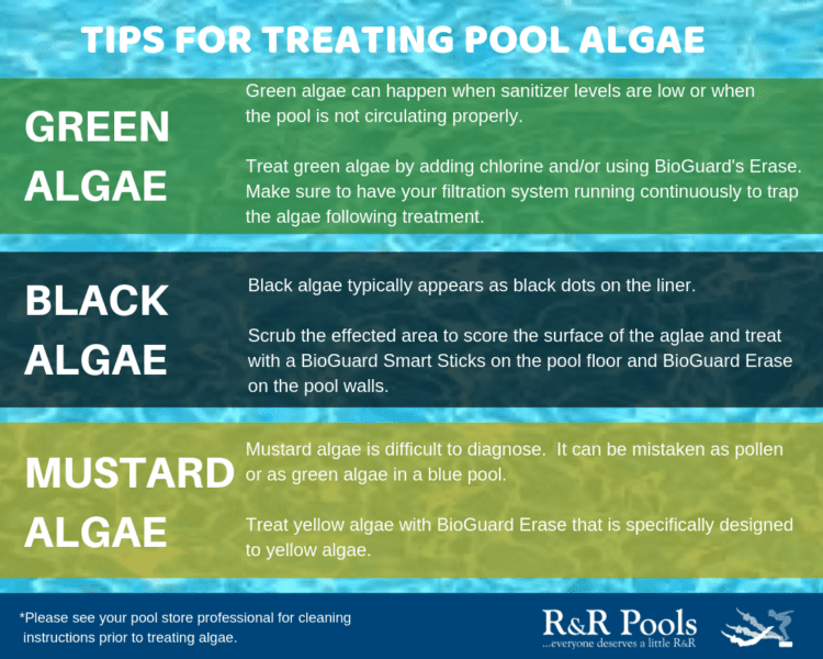 Pool Algae Treatment