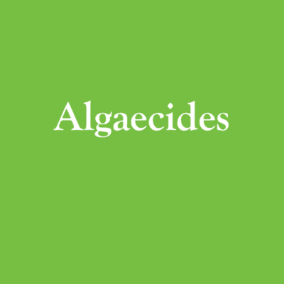 Algae Products