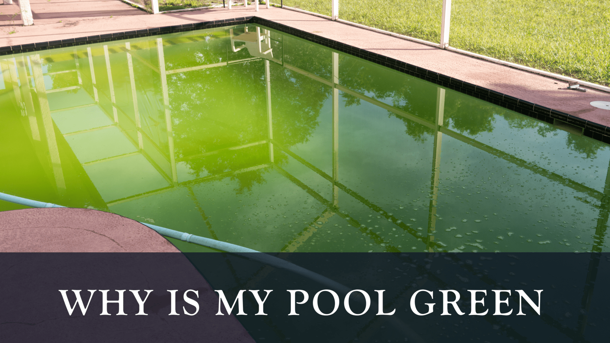 Why is my pool green? R&R Pools